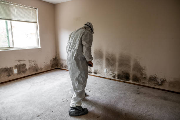Water Damage Restoration in San Juan, TX
